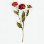 ZINNIA ΛΟΥΛΟΥΔΙ ΤΕΧΝΗΤΟ 52cm POLYESTER ΜΠΟΡΝΤΩ ΠΟΡΤΟΚΑΛΙ ΠΡΑΣΙΝΟ 030902
