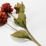 ZINNIA ΛΟΥΛΟΥΔΙ ΤΕΧΝΗΤΟ 52cm POLYESTER ΜΠΟΡΝΤΩ ΠΟΡΤΟΚΑΛΙ ΠΡΑΣΙΝΟ 030902 - Image 2