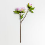 HALF MOON PEONY ΛΟΥΛΟΥΔΙ ΤΕΧΝΗΤΟ 43cm POLYESTER ΛΙΛΑ ΛΕΥΚΟ ΠΡΑΣΙΝΟ 030903