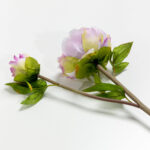 HALF MOON PEONY ΛΟΥΛΟΥΔΙ ΤΕΧΝΗΤΟ 43cm POLYESTER ΛΙΛΑ ΛΕΥΚΟ ΠΡΑΣΙΝΟ 030903 - Image 4