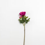 KATE PEONY ΛΟΥΛΟΥΔΙ ΤΕΧΝΗΤΟ 67cm POLYESTER ΦΟΥΞΙΑ ΠΡΑΣΙΝΟ 030904