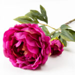 KATE PEONY ΛΟΥΛΟΥΔΙ ΤΕΧΝΗΤΟ 67cm POLYESTER ΦΟΥΞΙΑ ΠΡΑΣΙΝΟ 030904 - Image 3