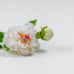 PEONY ΛΟΥΛΟΥΔΙ ΤΕΧΝΗΤΟ 67cm POLYESTER ΛΕΥΚΟ ΡΟΖ ΠΡΑΣΙΝΟ 030905 - Image 3