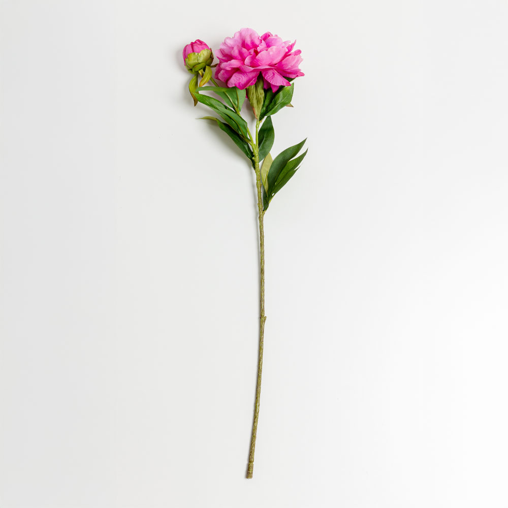 030907-KZLIo-first-_1 PEONY ΛΟΥΛΟΥΔΙ ΤΕΧΝΗΤΟ 67cm POLYESTER ΦΟΥΞΙΑ ΠΡΑΣΙΝΟ 030907 - Image 1
