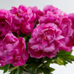 PEONY ΛΟΥΛΟΥΔΙ ΤΕΧΝΗΤΟ 67cm POLYESTER ΦΟΥΞΙΑ ΠΡΑΣΙΝΟ 030907 - Image 3