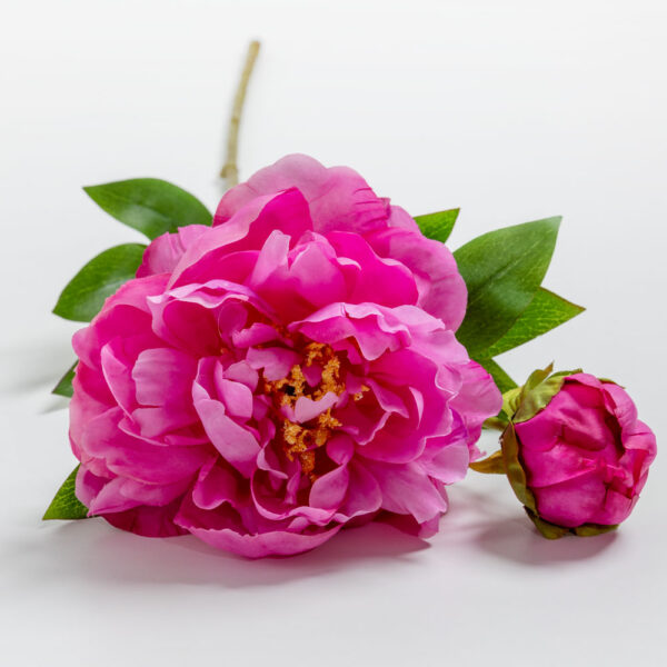 PEONY ΛΟΥΛΟΥΔΙ ΤΕΧΝΗΤΟ 67cm POLYESTER ΦΟΥΞΙΑ ΠΡΑΣΙΝΟ 030907 - Image 4