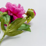 PEONY ΛΟΥΛΟΥΔΙ ΤΕΧΝΗΤΟ 67cm POLYESTER ΦΟΥΞΙΑ ΠΡΑΣΙΝΟ 030907 - Image 5