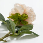 PEONY MIKADO ΛΟΥΛΟΥΔΙ ΤΕΧΝΗΤΟ 72cm POLYESTER ΣΟΜΟΝ ΠΡΑΣΙΝΟ 030909 - Image 5