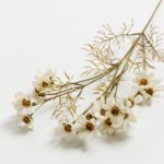 SKY COSMOS ΛΟΥΛΟΥΔΙ ΤΕΧΝΗΤΟ 79cm POLYESTER ΜΠΕΖ ΠΡΑΣΙΝΟ 030912 - Image 4