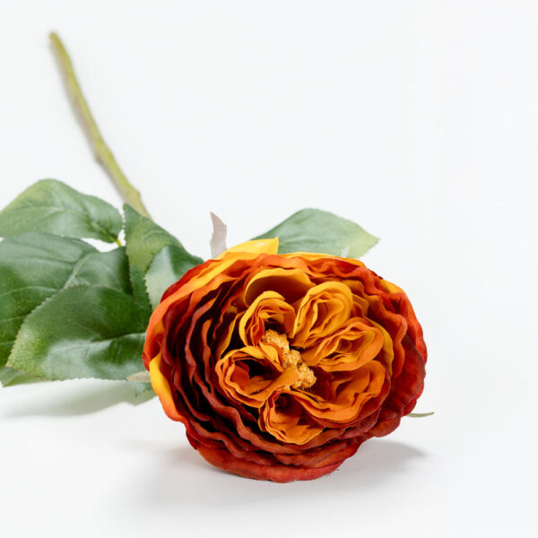 CABBAGE ROSE ΛΟΥΛΟΥΔΙ ΤΕΧΝΗΤΟ 66cm POLYESTER TERRACOTTA ΠΡΑΣΙΝΟ 030917 - Image 3