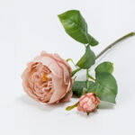 AUSTIN ROSE ΛΟΥΛΟΥΔΙ ΤΕΧΝΗΤΟ 64cm POLYESTER ΣΟΜΟΝ ΠΡΑΣΙΝΟ 030918 - Image 3