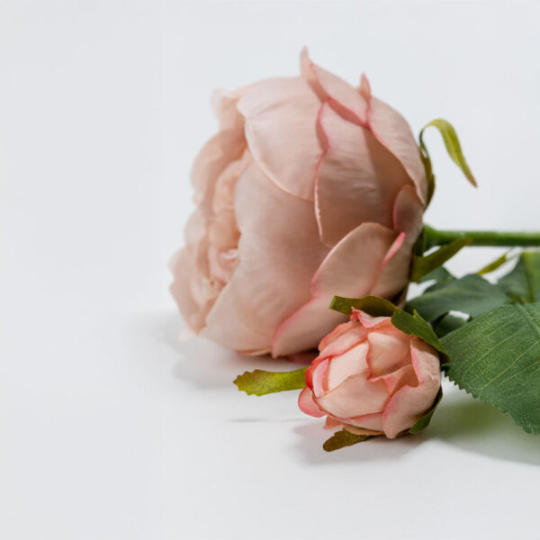 AUSTIN ROSE ΛΟΥΛΟΥΔΙ ΤΕΧΝΗΤΟ 64cm POLYESTER ΣΟΜΟΝ ΠΡΑΣΙΝΟ 030918 - Image 5