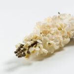 STICK ΛΟΥΛΟΥΔΙ ΤΕΧΝΗΤΟ 80cm POLYESTER ΜΠΕΖ ΠΡΑΣΙΝΟ 030920 - Image 2