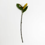 MAGNOLIA ΛΟΥΛΟΥΔΙ ΤΕΧΝΗΤΟ 71cm POLYESTER ΜΠΕΖ ΠΡΑΣΙΝΟ 030927