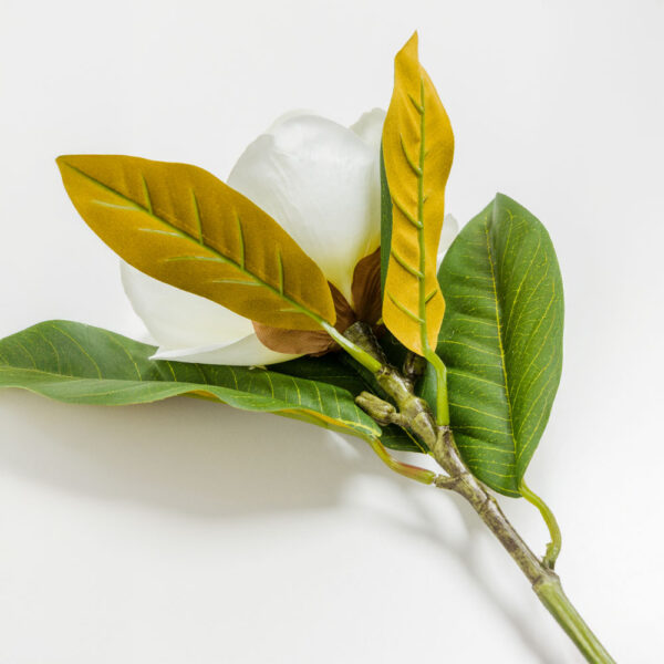 MAGNOLIA ΛΟΥΛΟΥΔΙ ΤΕΧΝΗΤΟ 71cm POLYESTER ΜΠΕΖ ΠΡΑΣΙΝΟ 030927 - Image 4