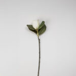 MAGNOLIA ΛΟΥΛΟΥΔΙ ΤΕΧΝΗΤΟ 71cm POLYESTER ΜΠΕΖ ΠΡΑΣΙΝΟ 030928