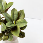 MAGNOLIA LEAVES ΛΟΥΛΟΥΔΙ ΤΕΧΝΗΤΟ 83cm POLYESTER ΠΡΑΣΙΝΟ 030931 - Image 3