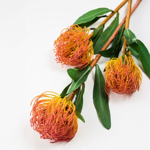 CAMPANULA ΛΟΥΛΟΥΔΙ ΤΕΧΝΗΤΟ 61cm POLYESTER ΠΟΡΤΟΚΑΛΙ ΠΡΑΣΙΝΟ 030933 - Image 3