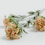 SWEET ALYSSUM ΛΟΥΛΟΥΔΙ ΤΕΧΝΗΤΟ 78cm POLYESTER ΣΟΜΟΝ ΜΩΒ ΠΡΑΣΙΝΟ 030942 - Image 3