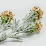 SWEET ALYSSUM ΛΟΥΛΟΥΔΙ ΤΕΧΝΗΤΟ 78cm POLYESTER ΣΟΜΟΝ ΜΩΒ ΠΡΑΣΙΝΟ 030942 - Image 4