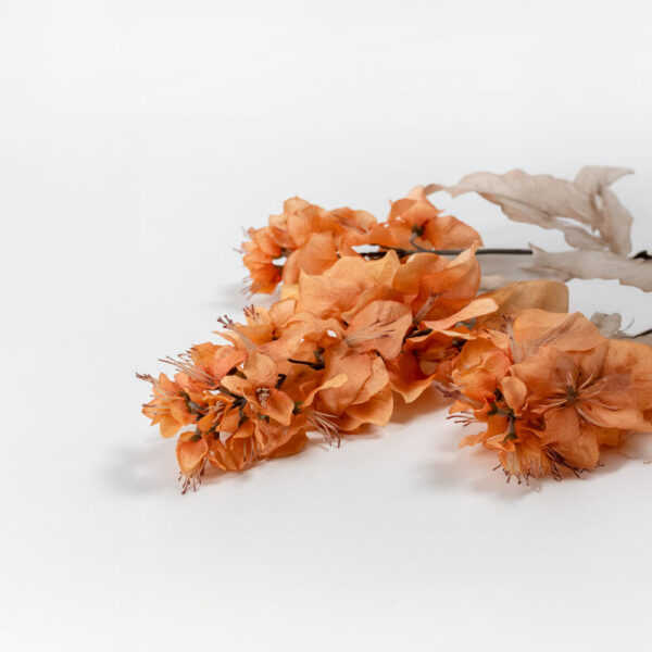 BOUGAINVILLEA ΛΟΥΛΟΥΔΙ ΤΕΧΝΗΤΟ 105cm POLYESTER ΠΟΡΤΟΚΑΛΙ 030945 - Image 3