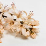 HYACINTH ΛΟΥΛΟΥΔΙ ΤΕΧΝΗΤΟ 102cm POLYESTER ΜΠΕΖ ΠΡΑΣΙΝΟ 030947 - Image 3