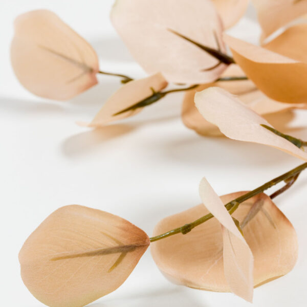 FRANCE EUCALYPTUS ΚΛΑΔΙ ΤΕΧΝΗΤΟ 90cm POLYESTER ΜΠΕΖ ΚΑΦΕ 030962 - Image 2