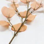 FRANCE EUCALYPTUS ΚΛΑΔΙ ΤΕΧΝΗΤΟ 90cm POLYESTER ΜΠΕΖ ΚΑΦΕ 030962 - Image 4