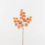 EUCALYPTUS ΚΛΑΔΙ ΤΕΧΝΗΤΟ 84cm POLYESTER TERRACOTTA 030965