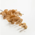 EUCALYPTUS ΚΛΑΔΙ ΤΕΧΝΗΤΟ 88cm POLYESTER ΜΠΕΖ 030966 - Image 3