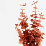 EUCALYPTUS ΚΛΑΔΙ ΤΕΧΝΗΤΟ 88cm POLYESTER TERRACOTTA 030967 - Image 3