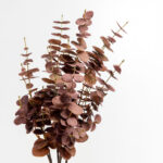 EUCALYPTUS ΚΛΑΔΙ ΤΕΧΝΗΤΟ 88cm POLYESTER ΚΑΦΕ 030969 - Image 2