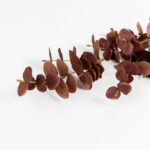 EUCALYPTUS ΚΛΑΔΙ ΤΕΧΝΗΤΟ 88cm POLYESTER ΚΑΦΕ 030969 - Image 3