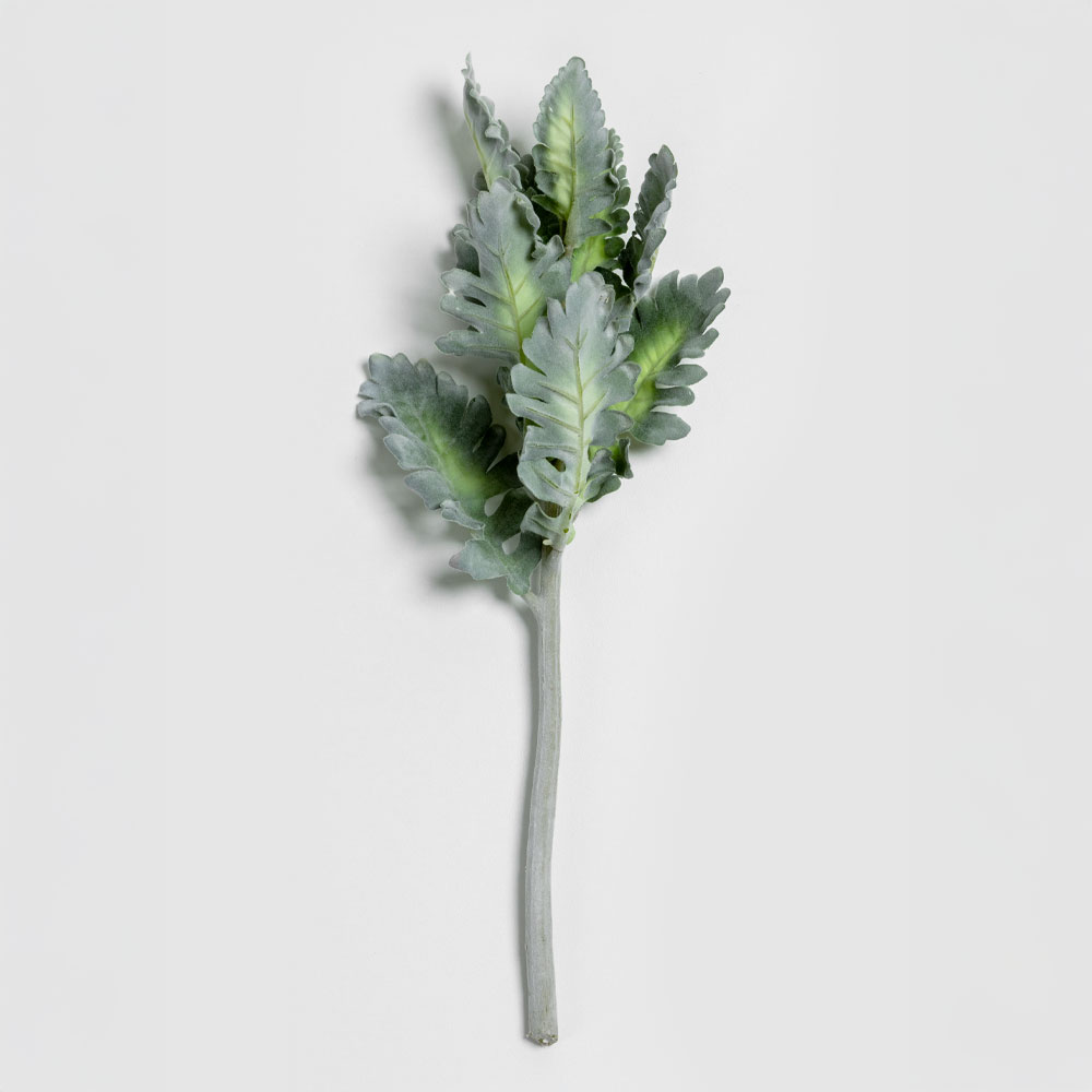 030972-GTeNd-first-_1 SENECIO CINERARIA ΚΛΑΔΙ ΤΕΧΝΗΤΟ 38cm POLYESTER ΠΡΑΣΙΝΟ 030972 - Image 1