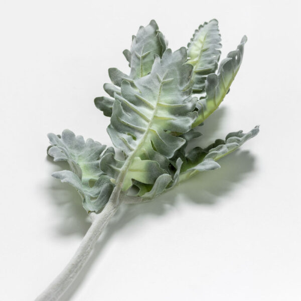 SENECIO CINERARIA ΚΛΑΔΙ ΤΕΧΝΗΤΟ 38cm POLYESTER ΠΡΑΣΙΝΟ 030972 - Image 3