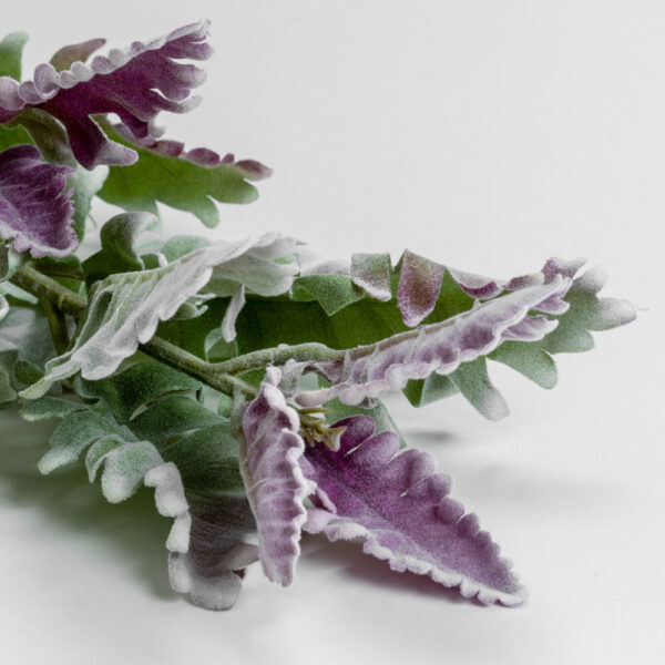 SENECIO CINERARIA ΚΛΑΔΙ ΤΕΧΝΗΤΟ 76cm POLYESTER ΠΡΑΣΙΝΟ ΜΩΒ 030973 - Image 4
