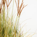 DRAGON BEARD ΦΥΤΟ ΤΕΧΝΗΤΟ 90cm PVC ΠΡΑΣΙΝΟ ΚΑΦΕ 031336 - Image 3