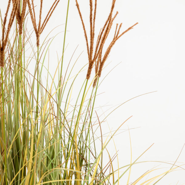 DRAGON BEARD ΦΥΤΟ ΤΕΧΝΗΤΟ 90cm PVC ΠΡΑΣΙΝΟ ΚΑΦΕ 031336 - Image 3