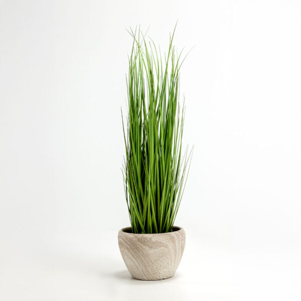 PURE GRASS ΦΥΤΟ ΤΕΧΝΗΤΟ ΣΕ ΓΛΑΣΤΡΑ 90cm PVC ΠΡΑΣΙΝΟ 031339 - Image 2