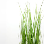 PURE GRASS ΦΥΤΟ ΤΕΧΝΗΤΟ ΣΕ ΓΛΑΣΤΡΑ 90cm PVC ΠΡΑΣΙΝΟ 031339 - Image 3