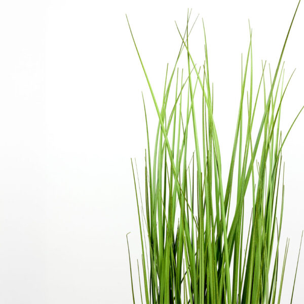 PURE GRASS ΦΥΤΟ ΤΕΧΝΗΤΟ ΣΕ ΓΛΑΣΤΡΑ 90cm PVC ΠΡΑΣΙΝΟ 031339 - Image 3