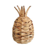KEA ΔΙΑΚΟΣΜΗΤΙΚΟ ΑΝΑΝΑΣ 20x20x30cm SEAGRASS ΦΥΣΙΚΟ 031573