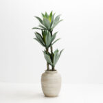 MILOS ΓΛΑΣΤΡΑ 35x35x45cm MgO ΜΠΕΖ 031617 - Image 2