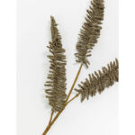 AROMA BLOSSOMS ΚΛΑΔΙ ΤΕΧΝΗΤΟ 80cm FOAM ΚΑΦΕ PVC 031733 - Image 3