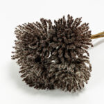 AROMA BLOSSOMS ΛΟΥΛΟΥΔΙ ΤΕΧΝΗΤΟ 22cm FOAM ΚΑΦΕ PVC 031734 - Image 3