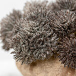 AROMA BLOSSOMS ΛΟΥΛΟΥΔΙ ΤΕΧΝΗΤΟ 22cm FOAM ΚΑΦΕ PVC 031734 - Image 4