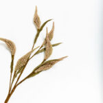 AROMA BLOSSOMS ΛΟΥΛΟΥΔΙ ΤΕΧΝΗΤΟ 80cm FOAM ΚΑΦΕ ΠΡΑΣΙΝΟ PVC 031741 - Image 3