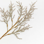 AROMA BLOSSOMS ΚΛΑΔΙ ΤΕΧΝΗΤΟ 72cm FOAM ΚΑΦΕ PVC 031745 - Image 3