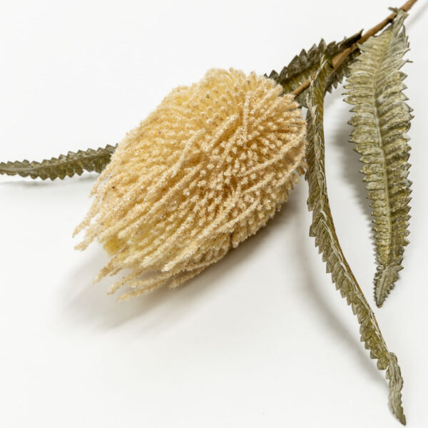 AROMA DELIGHTS ΛΟΥΛΟΥΔΙ ΤΕΧΝΗΤΟ 75cm FOAM ΚΡΕΜ ΠΡΑΣΙΝΟ PVC 031750 - Image 3