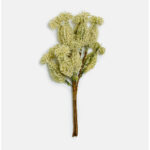 AROMA DELIGHTS ΛΟΥΛΟΥΔΙ ΤΕΧΝΗΤΟ 23cm FOAM ΚΡΕΜ PVC 031751